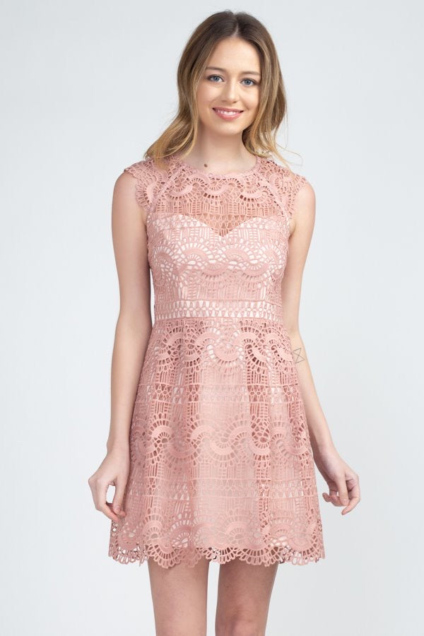 Lace Mini Dress- Blush